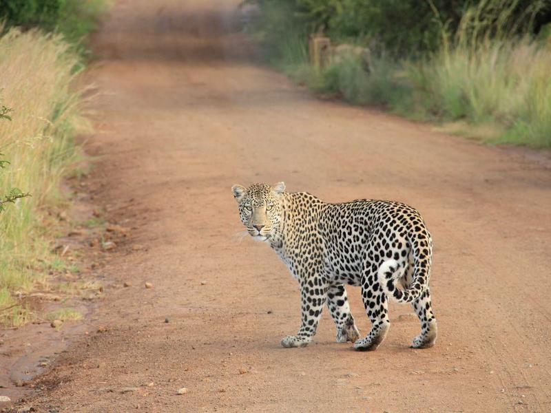 虚无主义狂欢<br>qyo4ufag.cn 上帝已死宣言